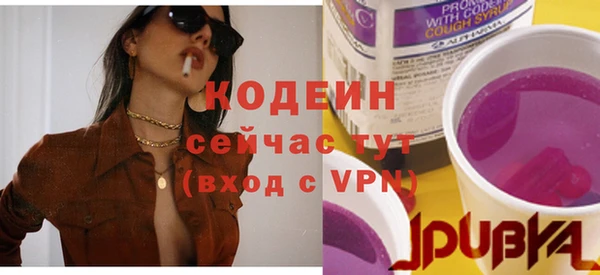 шишки Белоозёрский