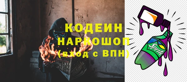 шишки Белоозёрский