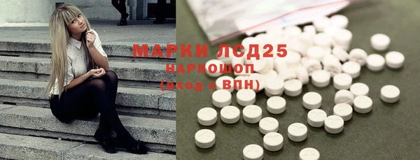 шишки Белоозёрский