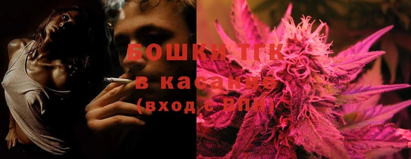 шишки Белоозёрский