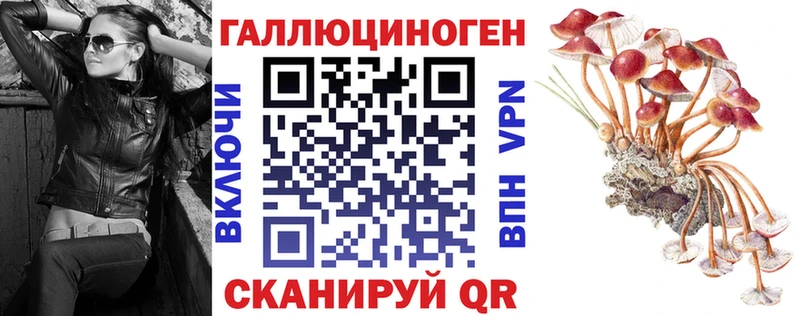 Купить закладки  Озёрск  Псилоцибиновые грибы мухоморы 